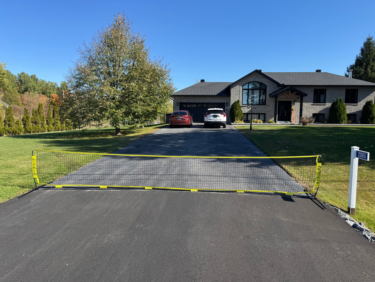 Ballhog Double (20 ft)