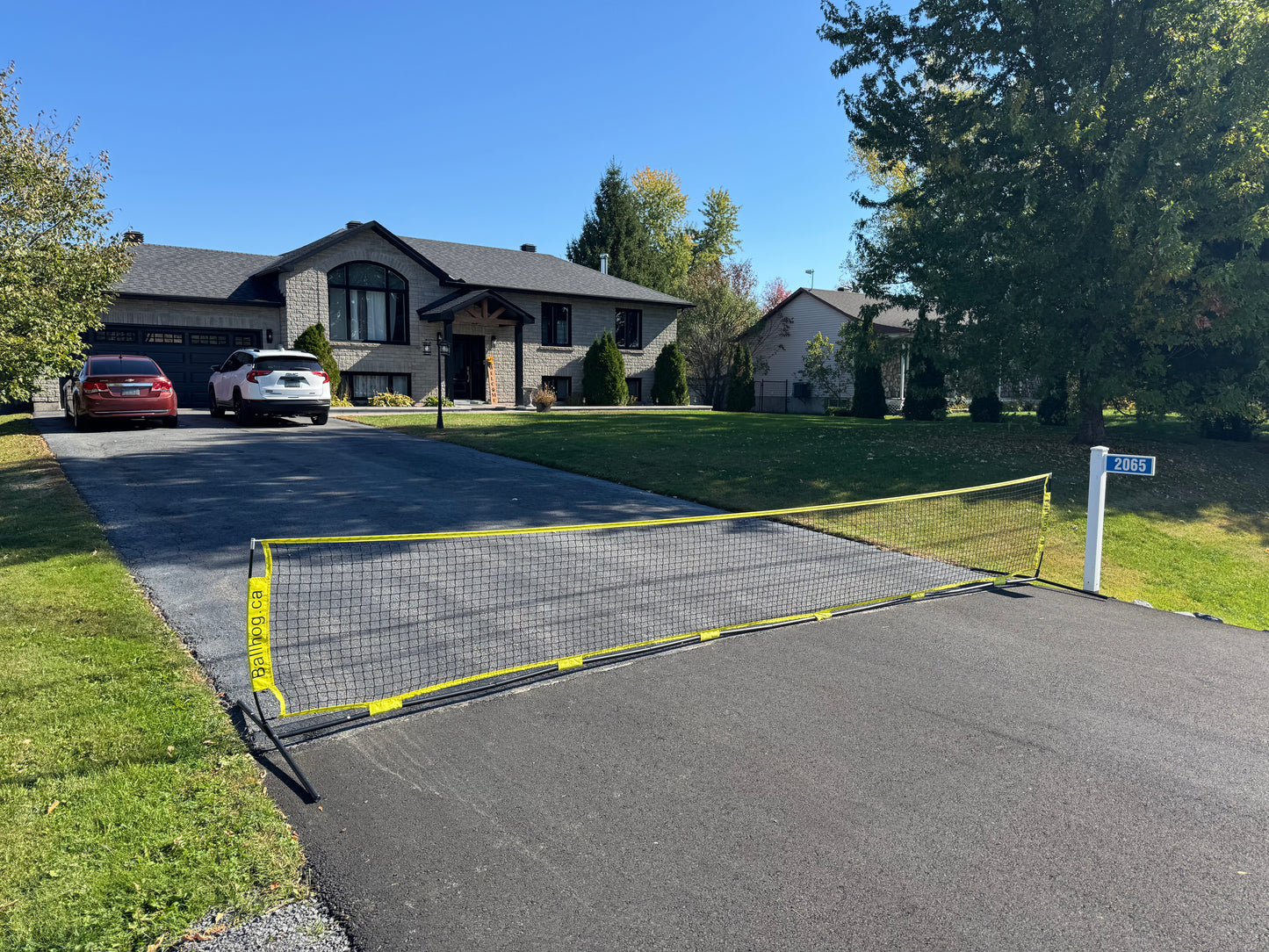 Ballhog Double (20 ft)