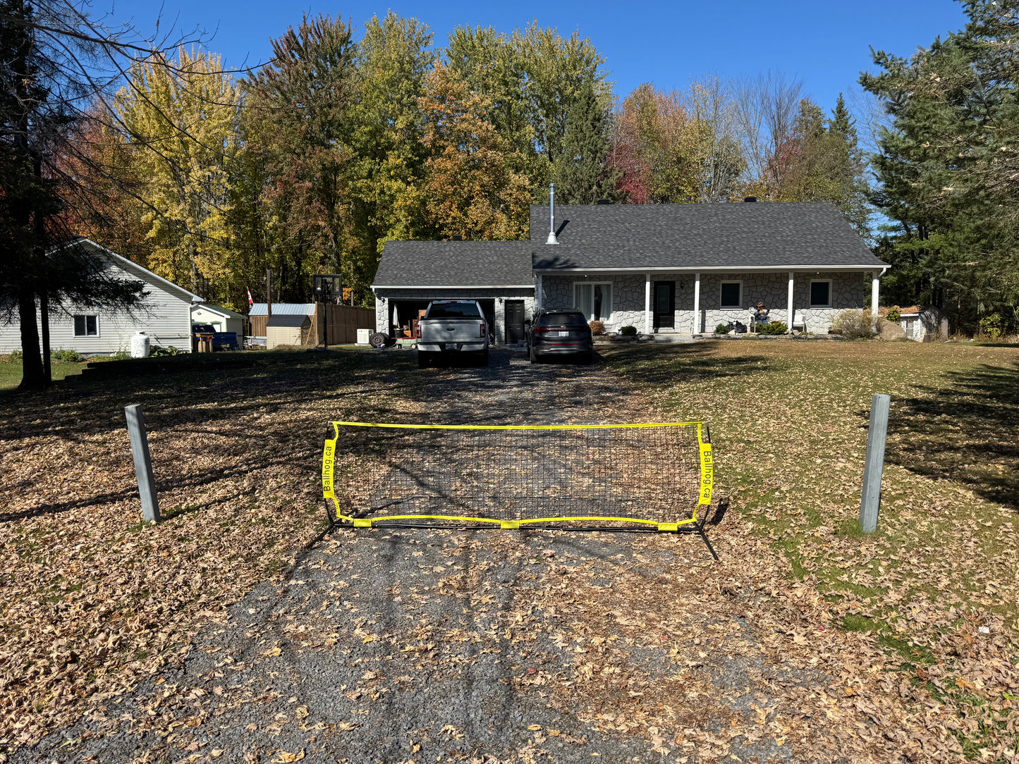 Ballhog Single (12 ft)