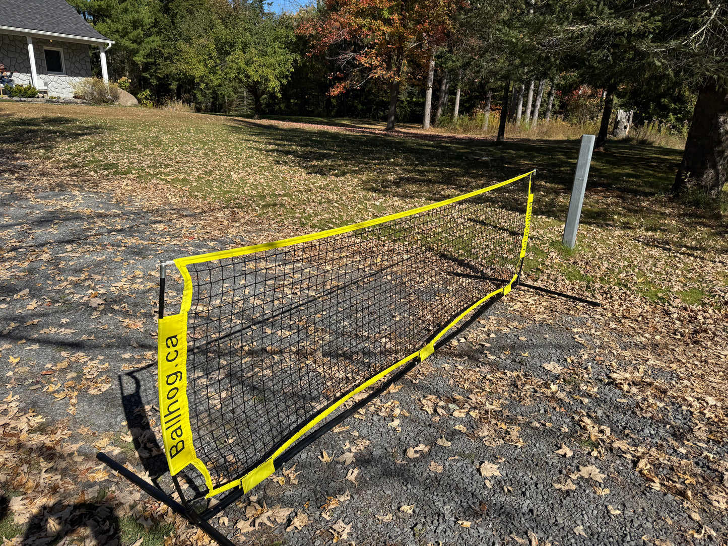 Ballhog Single (12 ft)