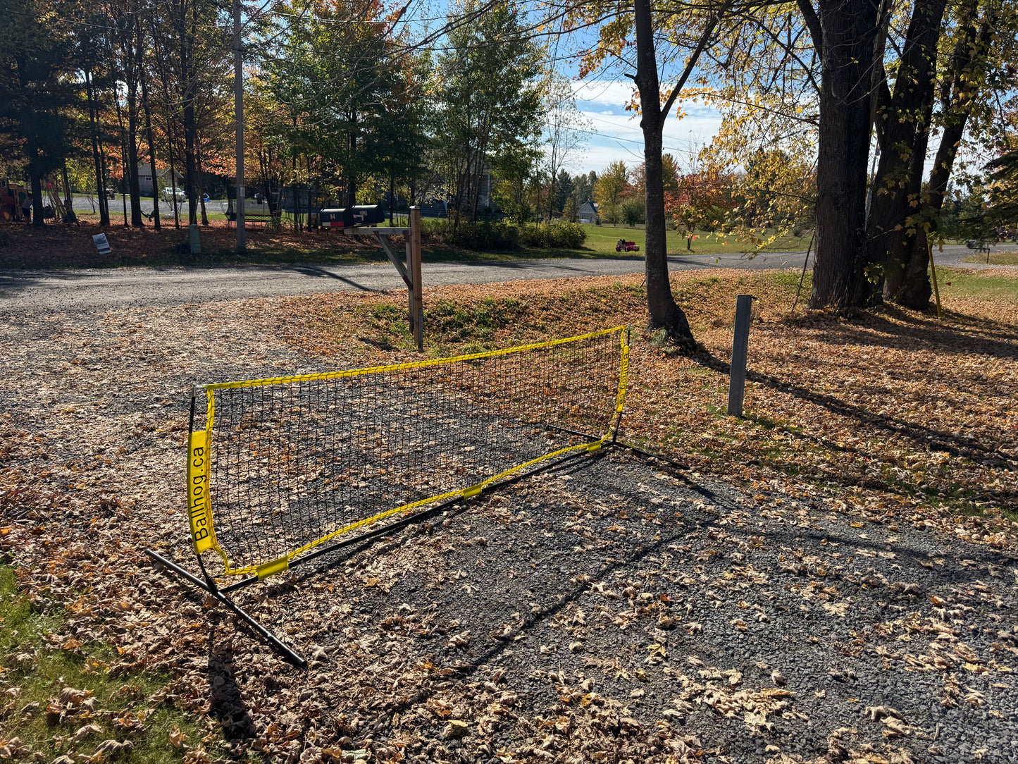 Ballhog Single (12 ft)