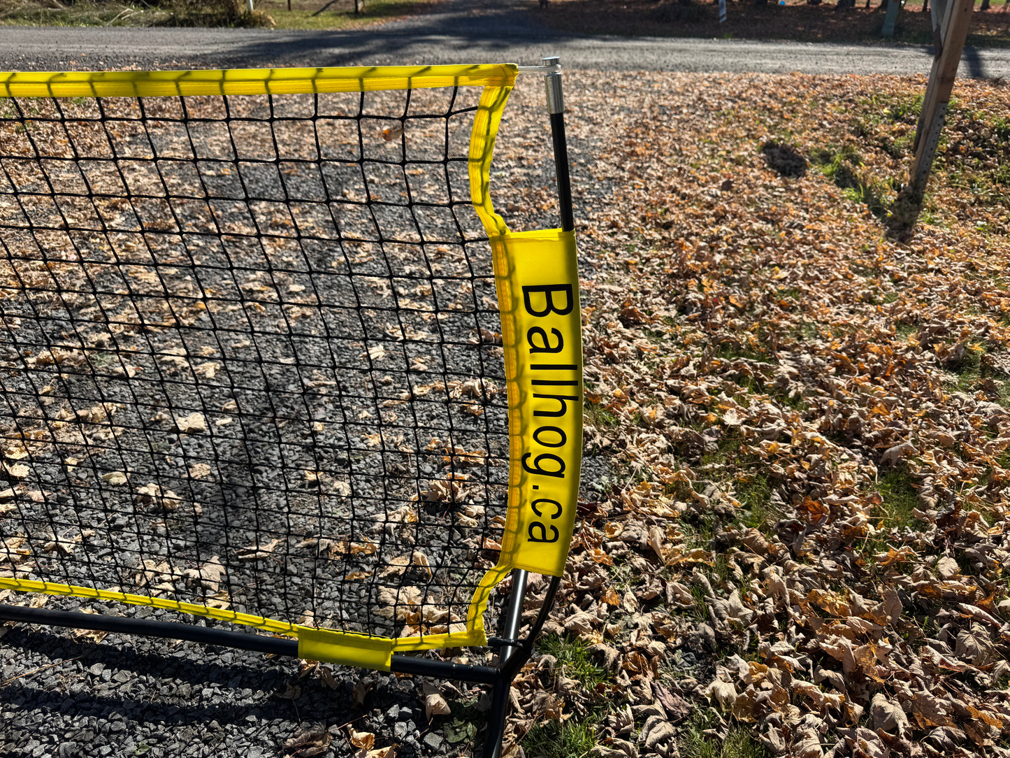 Ballhog Double (20 ft)