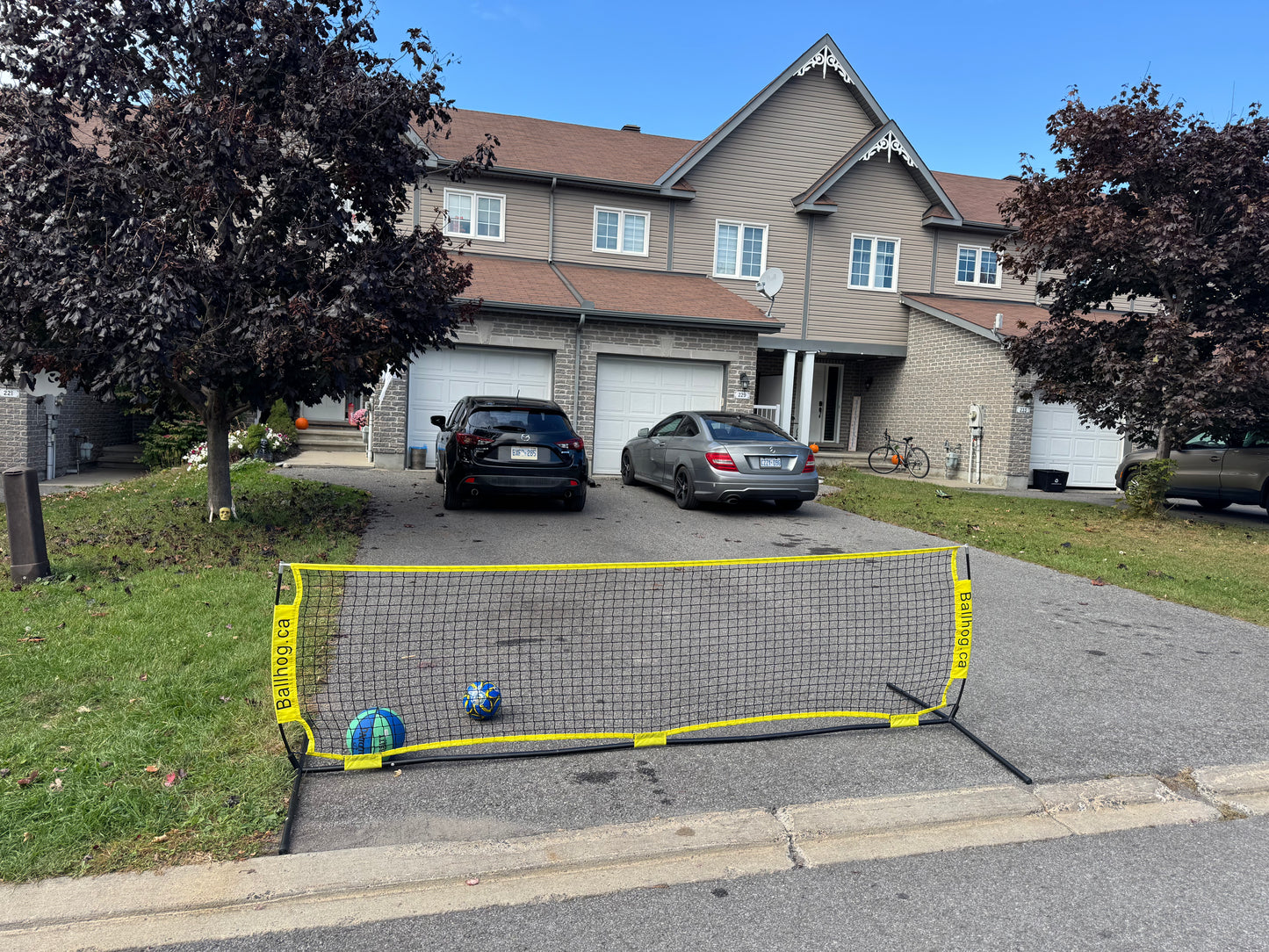 Ballhog Single (12 ft)