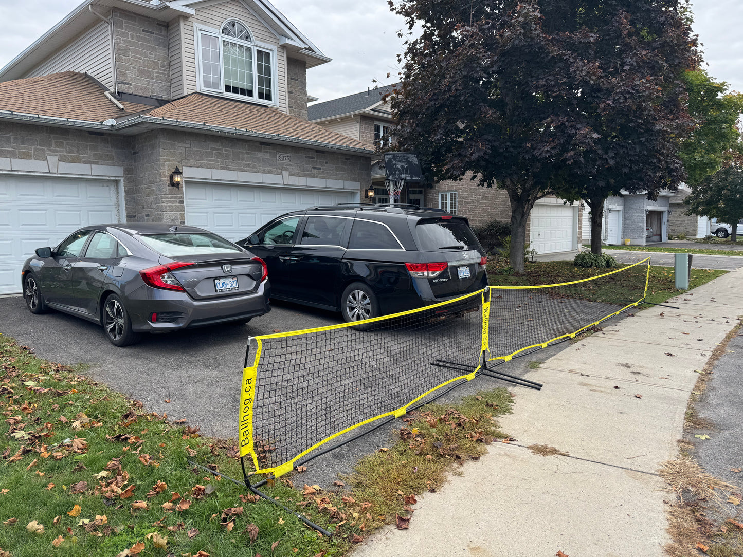 Ballhog Double (20 ft)