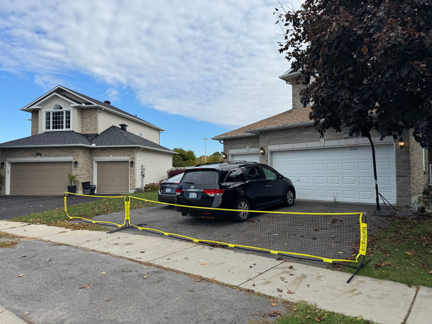 Ballhog Double (20 ft)