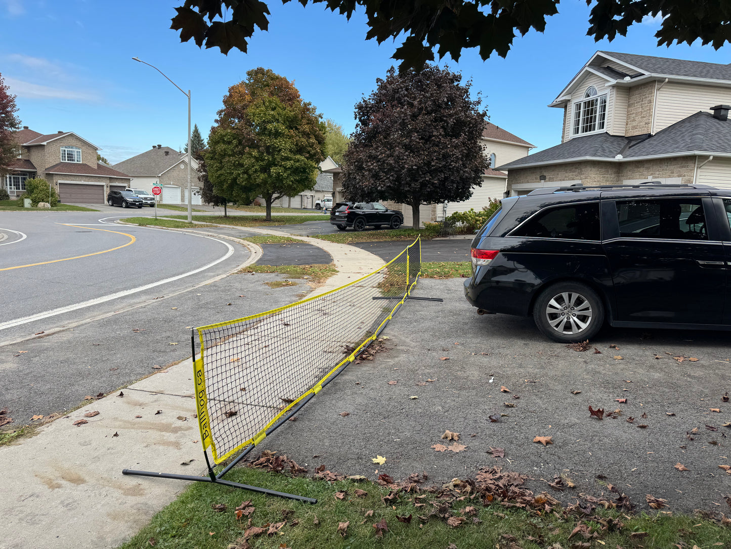 Ballhog Double (20 ft)