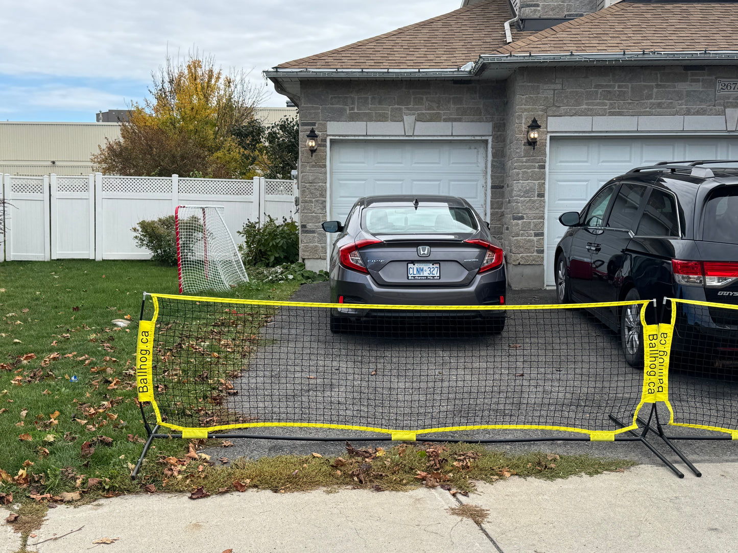 Ballhog Single (12 ft)